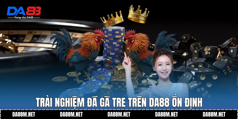 Trải nghiệm Đá gà tre trên DA88 ổn định